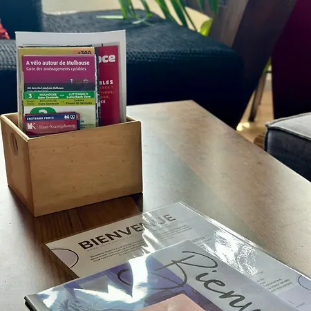 Διαμέρισμα Loft Vintage - Spacieux 155 M2 - 4 - Parking, Netflix, Wifi Fibre Μυλούζη