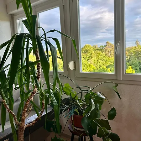 Loft Vintage - Spacieux 155 M2 - 4 - Parking, Netflix, Wifi Fibre * Mulhouse