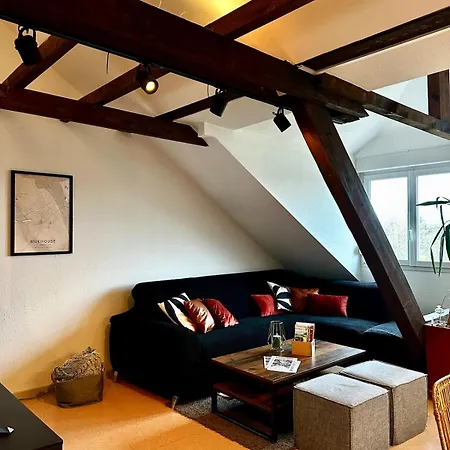 Lägenhet Loft Vintage - Spacieux 155 M2 - 4 - Parking, Netflix, Wifi Fibre Mulhouse