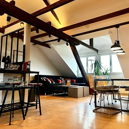 Apartment Loft Vintage - Spacieux 155 M2 - 4 - Parking, Netflix, Wifi Fibre Mulhouse