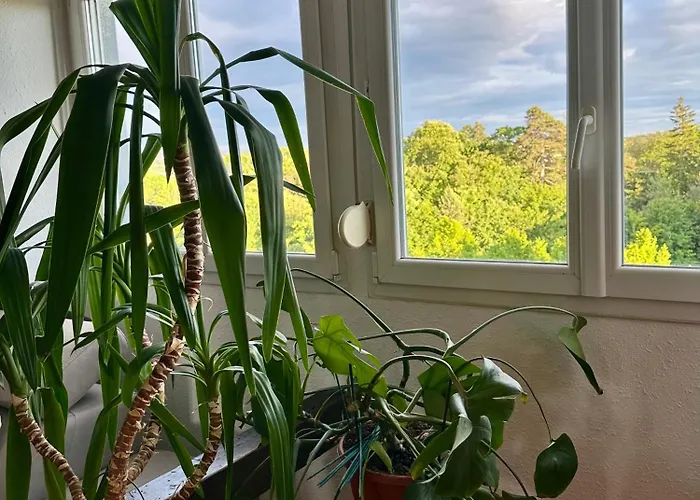 Loft Vintage - Spacieux 155 M2 - 4 - Parking, Netflix, Wifi Fibre * Mulhouse